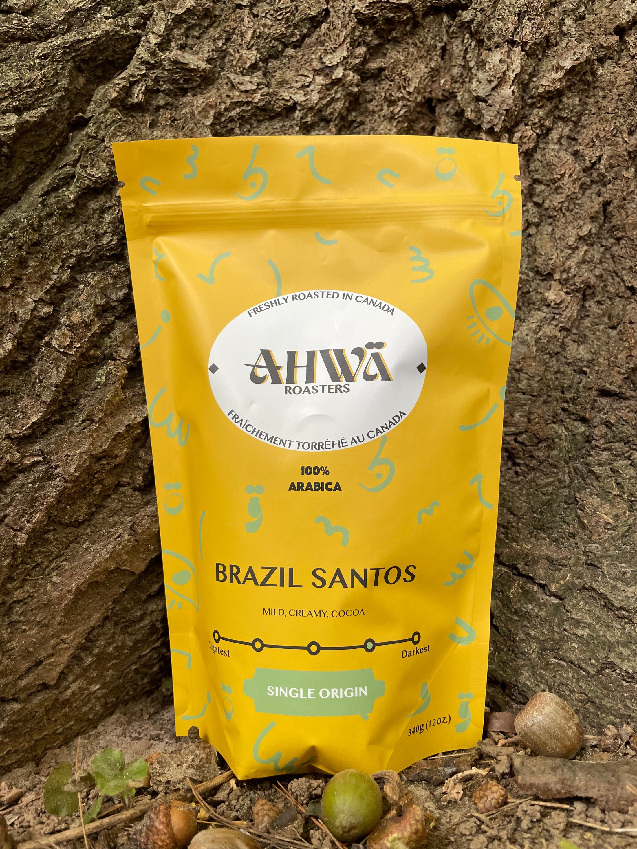 Infused Brazil